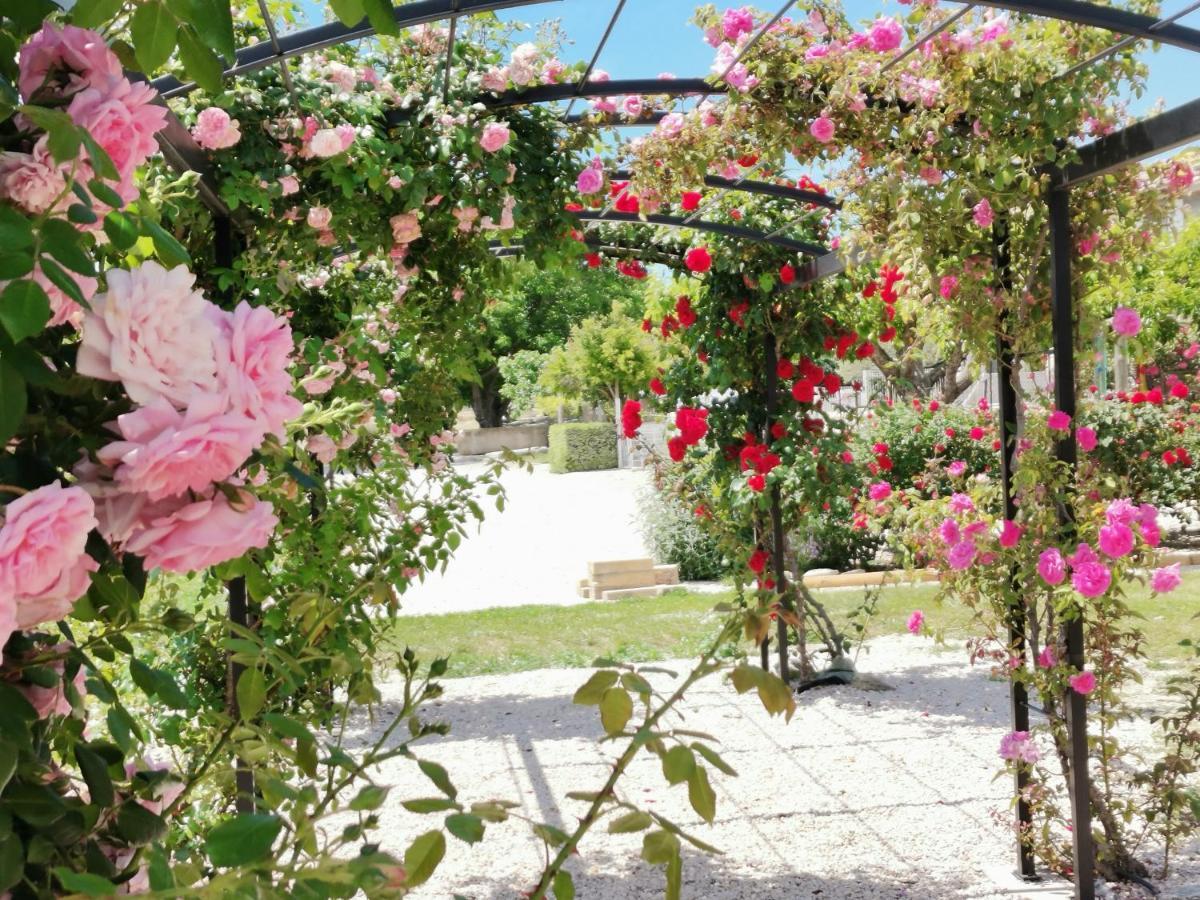 Gite En Provence "Rose" Modene Exterior photo