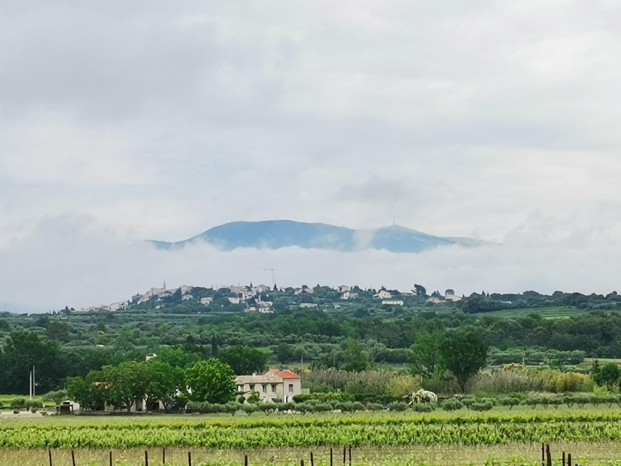 Gite En Provence "Rose" Modene Exterior photo